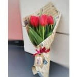 Buket od 7 Crvenih Lala.