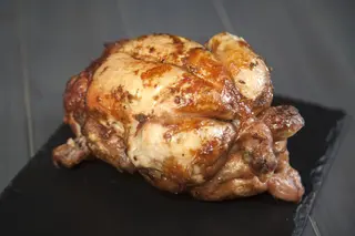 Pollastre