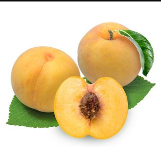 Pressec vinya pagès  1 kg