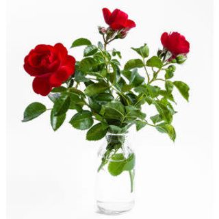 Mazzo con tre rose corte piu verde