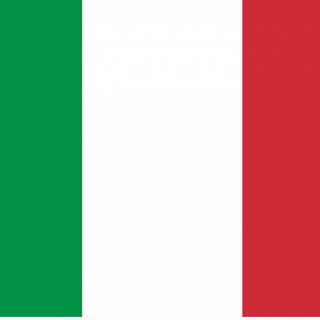 Pizza Wuster E Patatine (33 Cm.)