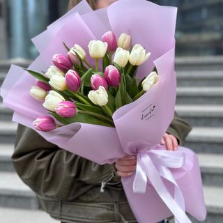 Букет із 21 біло-малинового тюльпана