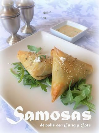 Samosa de pollo 3und