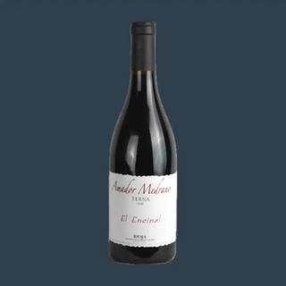 AMADOR MEDRANO TERRA 2021 FINCA EL ENCINAL DOC RIOJA / MEDRANO IRAZU HISZPANIA