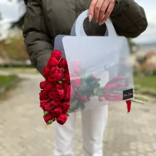 წითელი სპრეი ვარდი