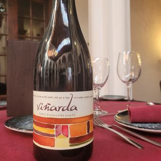 Vino Tinto Viñarda Vijariego