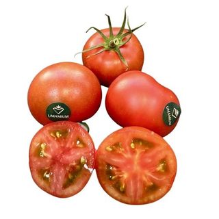 1117. Tomate Umami kg