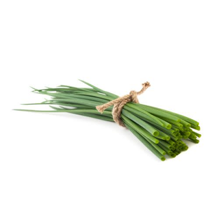 Cebollino
