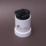 Trandafir criogenat negru în mini-cutie alba