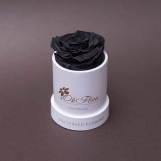 Trandafir criogenat negru în mini-cutie alba