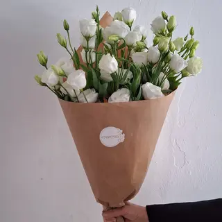 ეუსტომა/ Eustoma