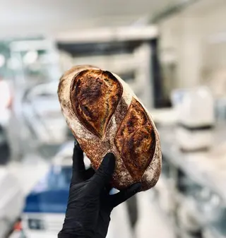 Samopsza