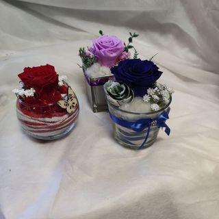 Staklo trajna ruža 47