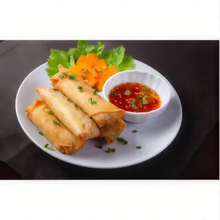 2.  Rollitos Primavera de Verduras Vegetable Spring Rolls
