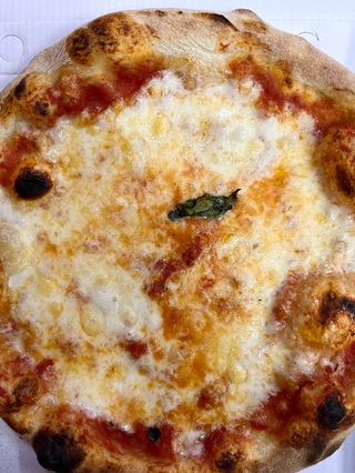 Margherita