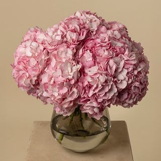 Ramo de Hortensias rosas (5 tallos)