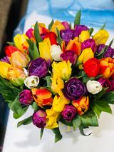 ფერადი ტიტების კოლოფი, დიდი