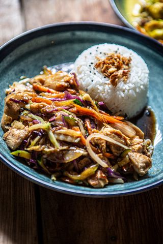 Wok de verduras con pollo