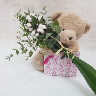 Oso Tedy + Flor de Algodón + Bombones