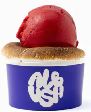 Sorbet Zmeura