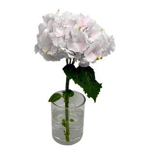 Tallo de Hortensia blanca premium 