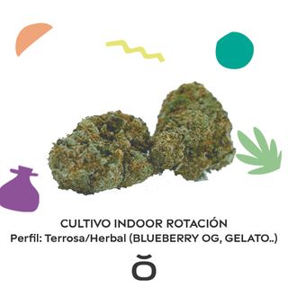 Variedad Terrosa/Herbal Indoor 4 Gr