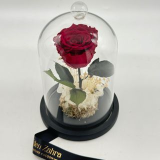 Cloche Eternal Rose Rosé