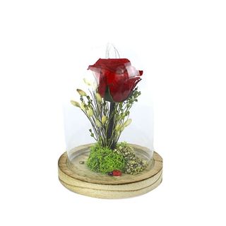 Rosa Eterna Roja En Cúpula