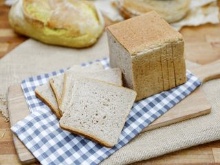 Paine toast secara