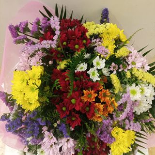 Ramo de 13 margaritas variadas con siemprevivas.