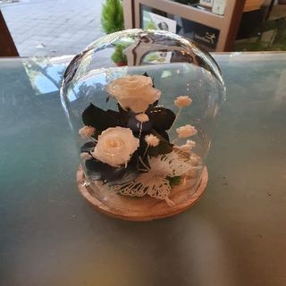 Cúpula De Rosa Presevada, Dos Rosas