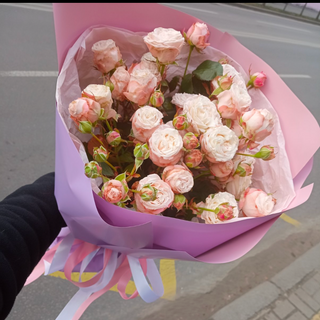 Кущова Троянда 