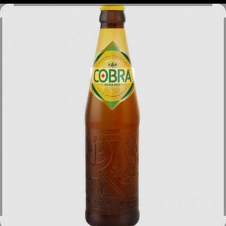 Cobra beer
