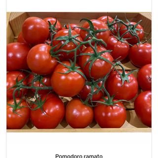 Pomodoro ramato 1/2 kg ca.