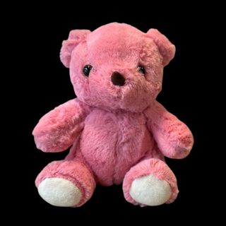 Pink Teddy 