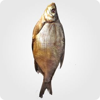 ჩებაკი ცხლად შებოლილი ქვირითის გარეშე 1კგ