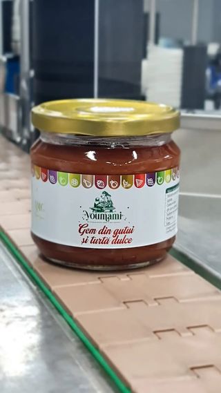Gem din gutui si turta dulce 400g Ramcons