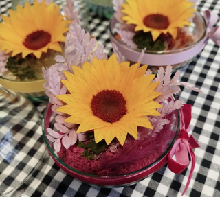 Girasol Preservado Cúpula De Cristal