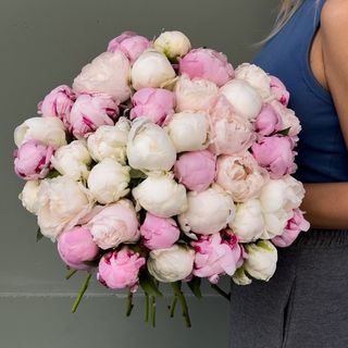 10 Peonias