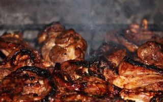 Live Choma Zone Broiler Choma