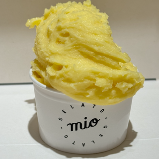 Lody premium BEZCUKROWA pomarańcza