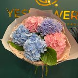 Buchet 5 hortensii mix