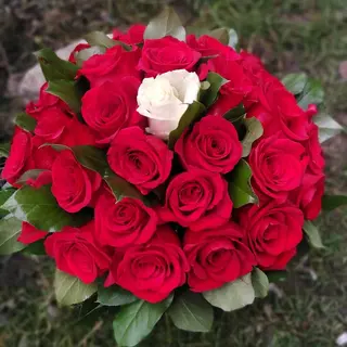 Buchet 27 de trandafiri