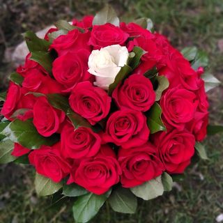 Buchet 27 de trandafiri