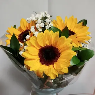 3 Girasoles
