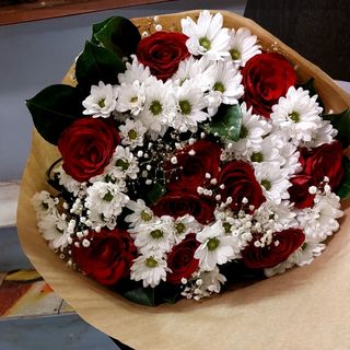 Rosa rosso Margherita bianco si suo figlio bianco con verde