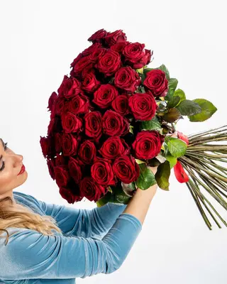 12 rose