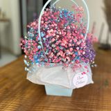 Gypsophila in bag(pastel)
