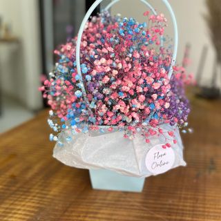 Gypsophila in bag(pastel)