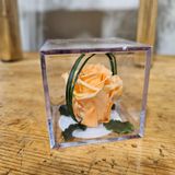 Cubo con rosa ETERNA MELOCOTON